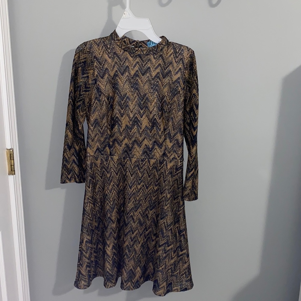 Francesca’s Long-Sleeve Chevron 70s A-Line Dress